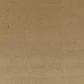306870 - SENAPE